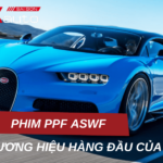 Phim PPF ASWF: Phim PPF thương hiệu hàng đầu của Mỹ