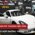 Phim PPF bảo vệ sơn Xpel - Tổng hợp những thông tin cần biết